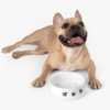 2021 ARC National: Pet Bowl - Image 5