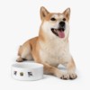 2021 ARC National: Pet Bowl - Image 6