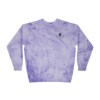 2025 ARC National - Unisex Color Blast Crewneck Sweatshirt - Image 17
