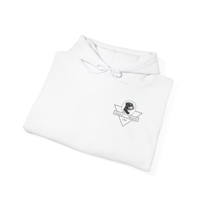2025 ARC National - Unisex Heavy Blend™ Hooded Sweatshirt - Image 4