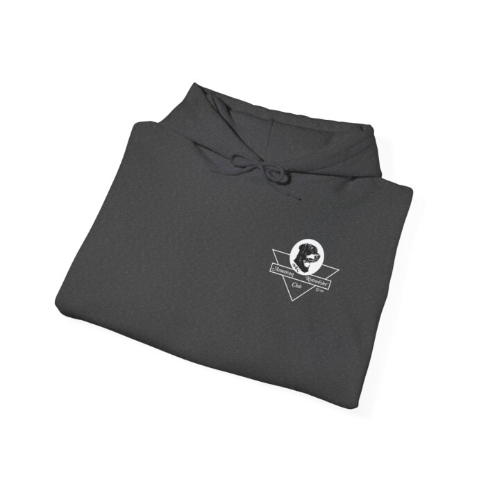 2025 ARC National - Unisex Heavy Blend™ Hooded Sweatshirt - Image 24