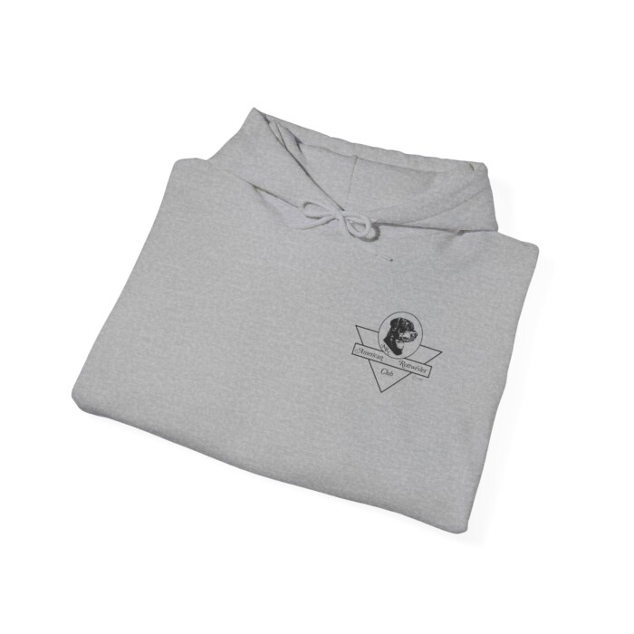 2025 ARC National - Unisex Heavy Blend™ Hooded Sweatshirt - Image 16