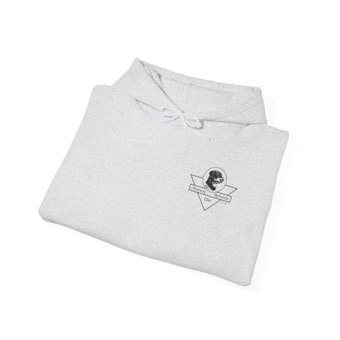 2025 ARC National - Unisex Heavy Blend™ Hooded Sweatshirt - Image 8